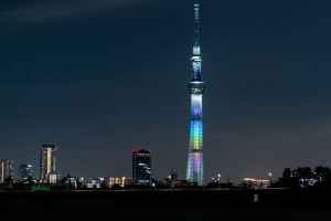 塔 建筑 背光 建筑 城市 夜间 4k壁纸 3840x2160