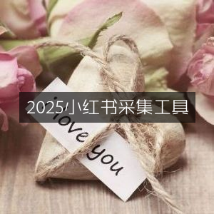 2025高效小红书数据采集工具