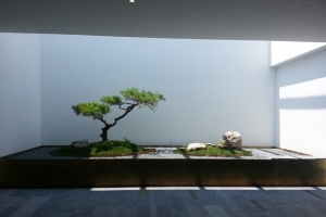 白色家居绿色工艺