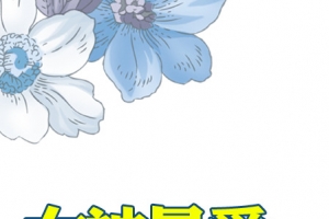 淘宝女装素材