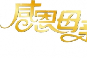感恩母亲节字体