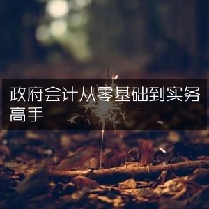 政府会计，零基础入门到实务精通指南