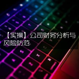 【实战指南】企业财务分析与风险预防策略