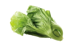 一颗绿色包心芥菜