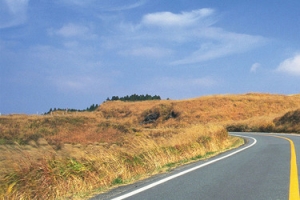 公路banner