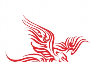 图案鹰