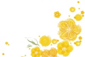 黄色边框花