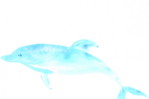 手绘蓝色卡通海底生物