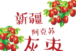 红枣包装设计