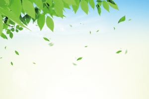 夏天清凉风景素材