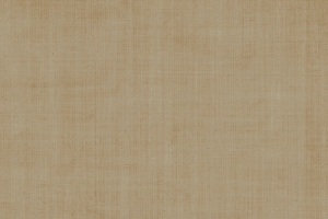中国风质感纹理工笔画背景素材