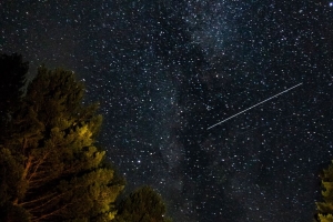 森林 星空 海星 4k壁纸 3840x2160