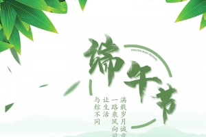 端午节划船粽子海报