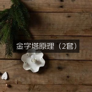 金字塔原理（2册套装）| 增强个人能力的必读书籍