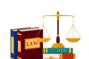 手绘宪法书籍法律法槌天平law