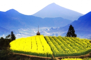 婺源风景图
