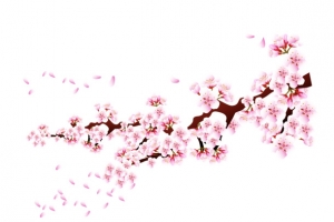 梅花