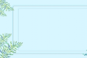 简约小清新蓝色女装banner