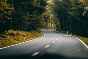 道路 转弯 森林 树木 自然 旅行 4k壁纸 3840x2160