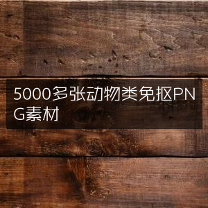 精选5000余张动物免抠PNG素材