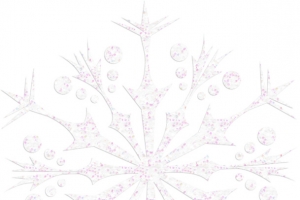 雪花