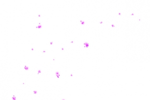 漂浮物