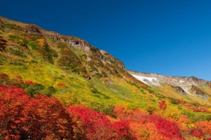 山 山前 树木 秋天 风景 4k壁纸 3840x2160