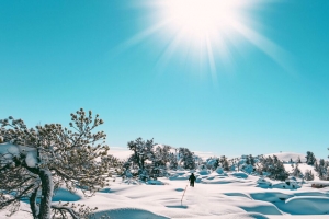 雪 阳光 风景 冬季 4k壁纸 3840x2160