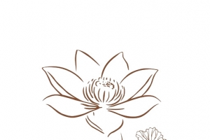 简笔画荷花