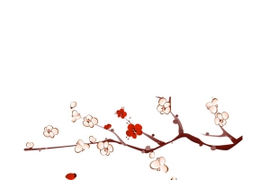 落花的梅花