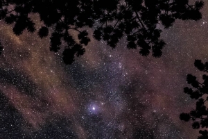 星空 星星 树 闪光 4k壁纸 3840x2160