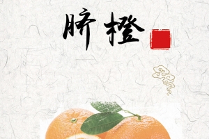 简约脐橙水果PSD分层主图背景素材