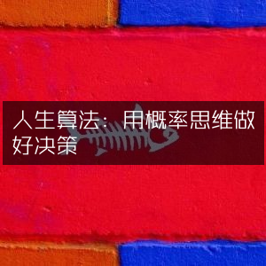 人生算法，掌握概率思维，优化决策，提升个人能力指南