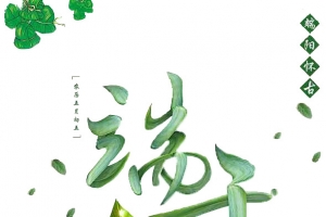 端午节习俗绿色粽子