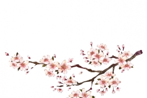 现代简约粉色树枝