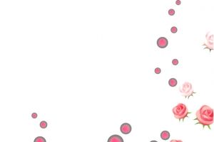 浪漫时尚名片卡片高清PNG透明漂浮元素设计素材免费下载