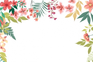手绘小清新花朵边框