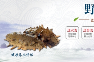 野生海参banner