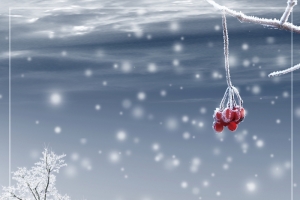 冬季雪地小清新文艺几何banner