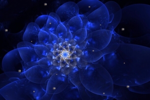 黑色背景蓝色鲜花