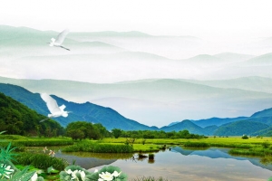 创意极简世界湿地日背景模板