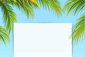 矢量清新夏日旅游海报背景