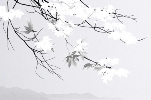 雪松文艺小清新古典灰色banner