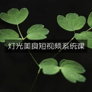 灯光美食短视频创作系统课
