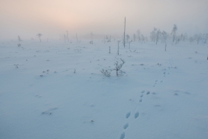 芬兰雪景4k壁纸
