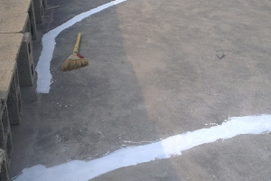 随拍（王哥房子漏雨啦，哈哈。忙乎了一个下午，补漏！）