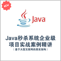 Java秒杀系统实战案例解析，企业级项目深度精讲，揭秘大型互联网真实架构
