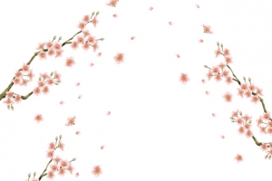 古风国潮风桃花