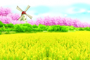 油菜花樱花风车景色漫画风banner