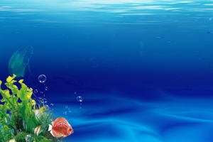 海底世界背景